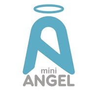 mini ANGEL