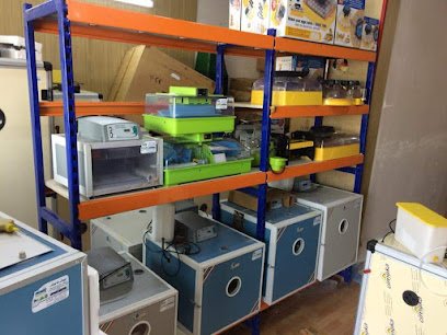 عالم الفقاسات في اربيل