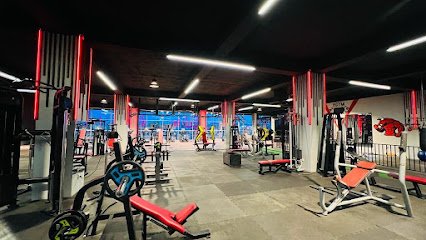 IRON PARADISE FITNESS
