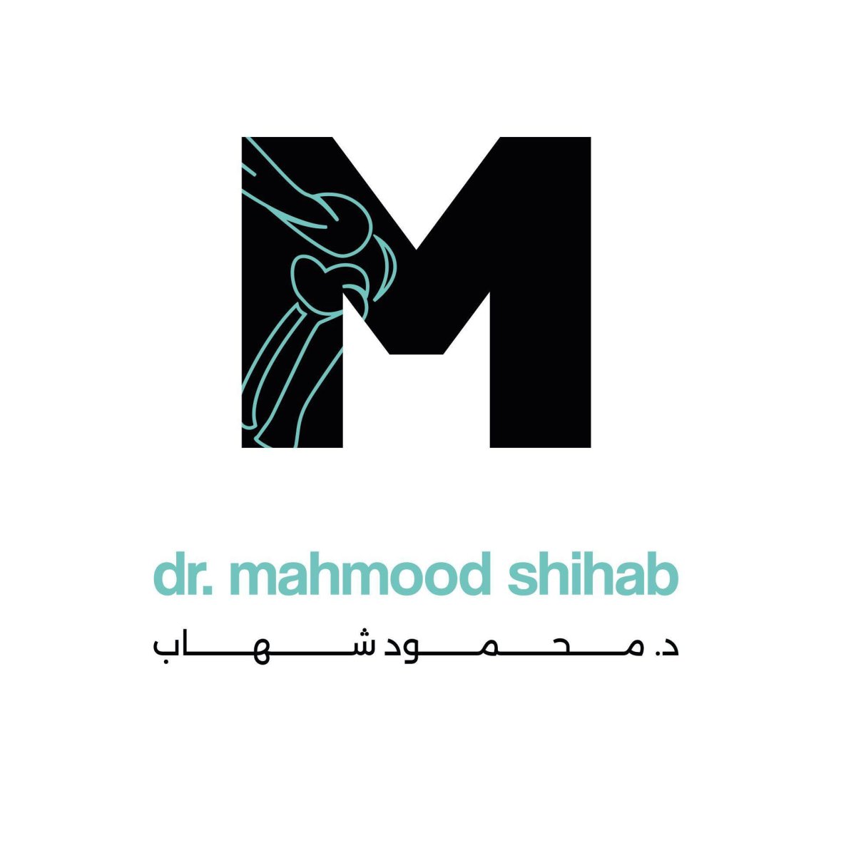 د. محمود شهاب وهاب