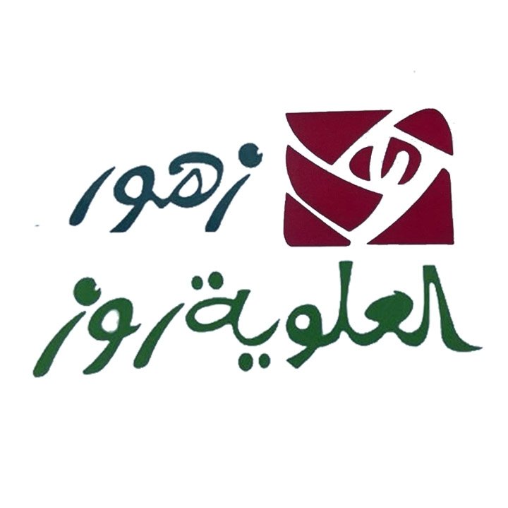 زهور العلوية روز