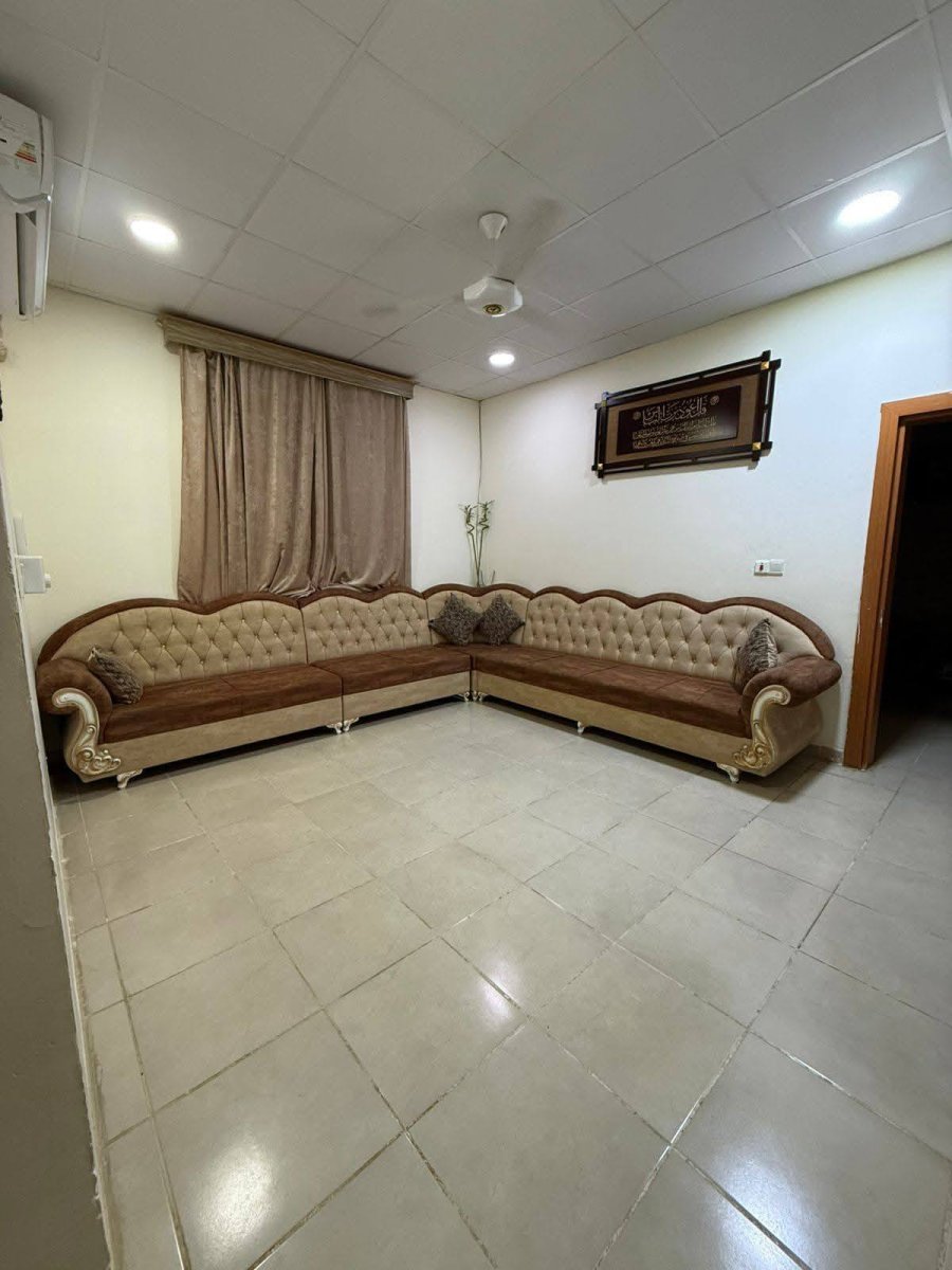 صورة 3
